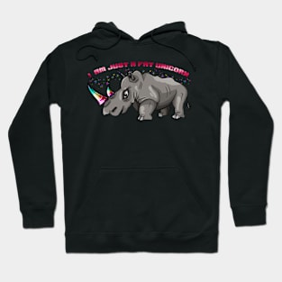 I am just a fat unicorn Hoodie